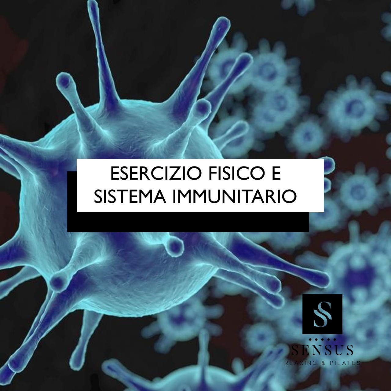 Sistema Immunitario