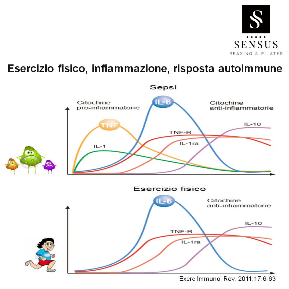 esercizio fisico e sistema immunitario